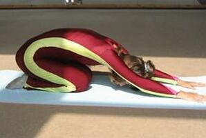 фізічныя нагрузкі для пахудання